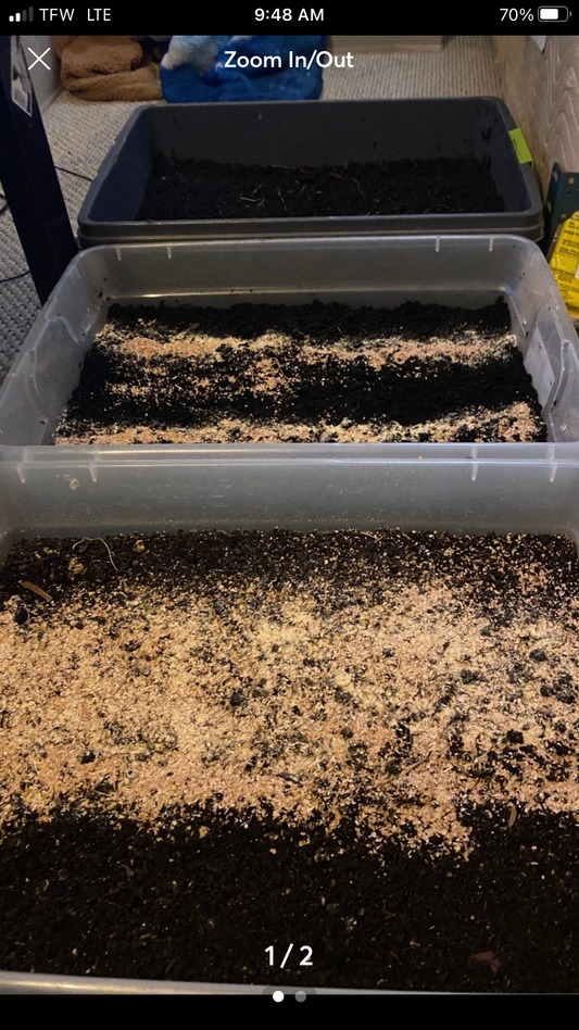 Worm farm