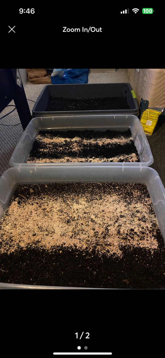 Worm farm