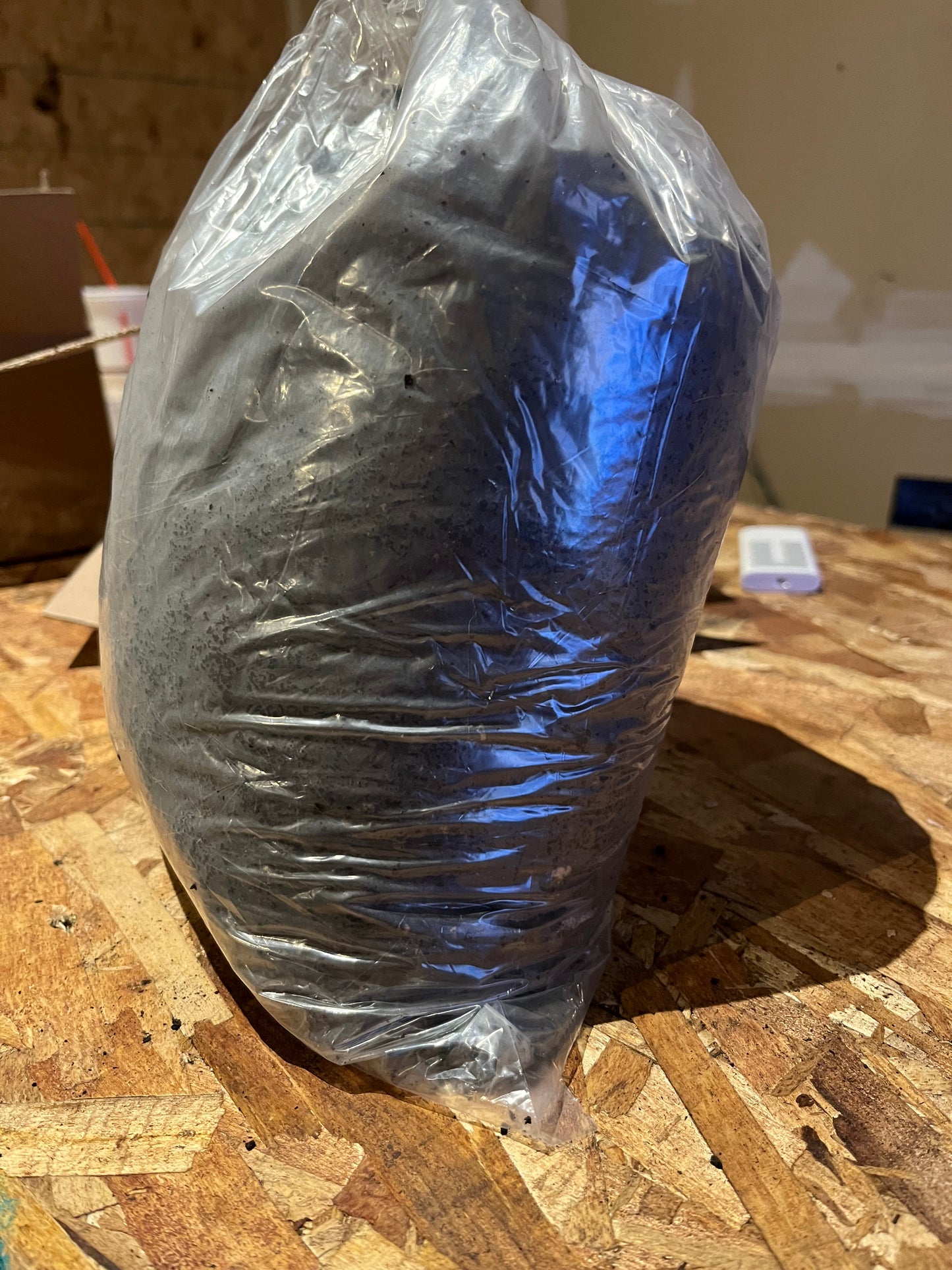 10 lbs Red Wiggler worm castings