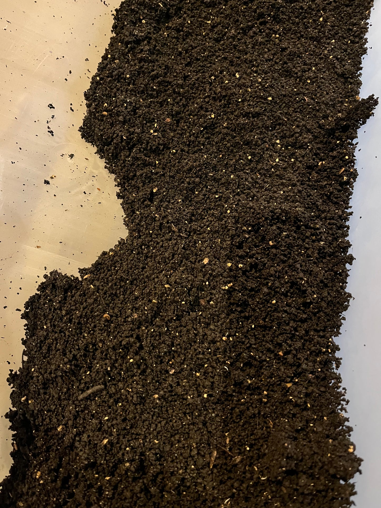 10 lbs Red Wiggler worm castings